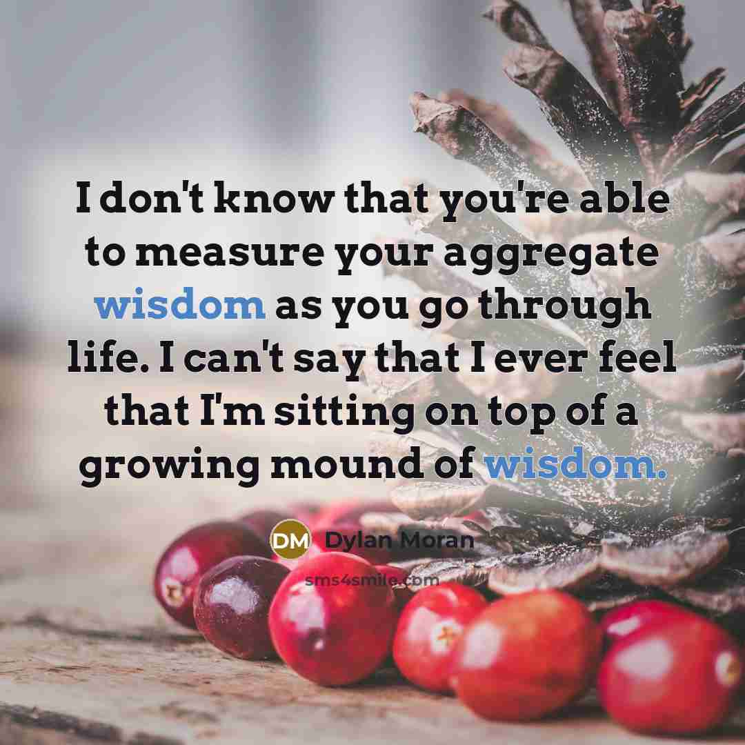 “I don't know that you're able to measure your aggregate…” quote by Dylan Moran