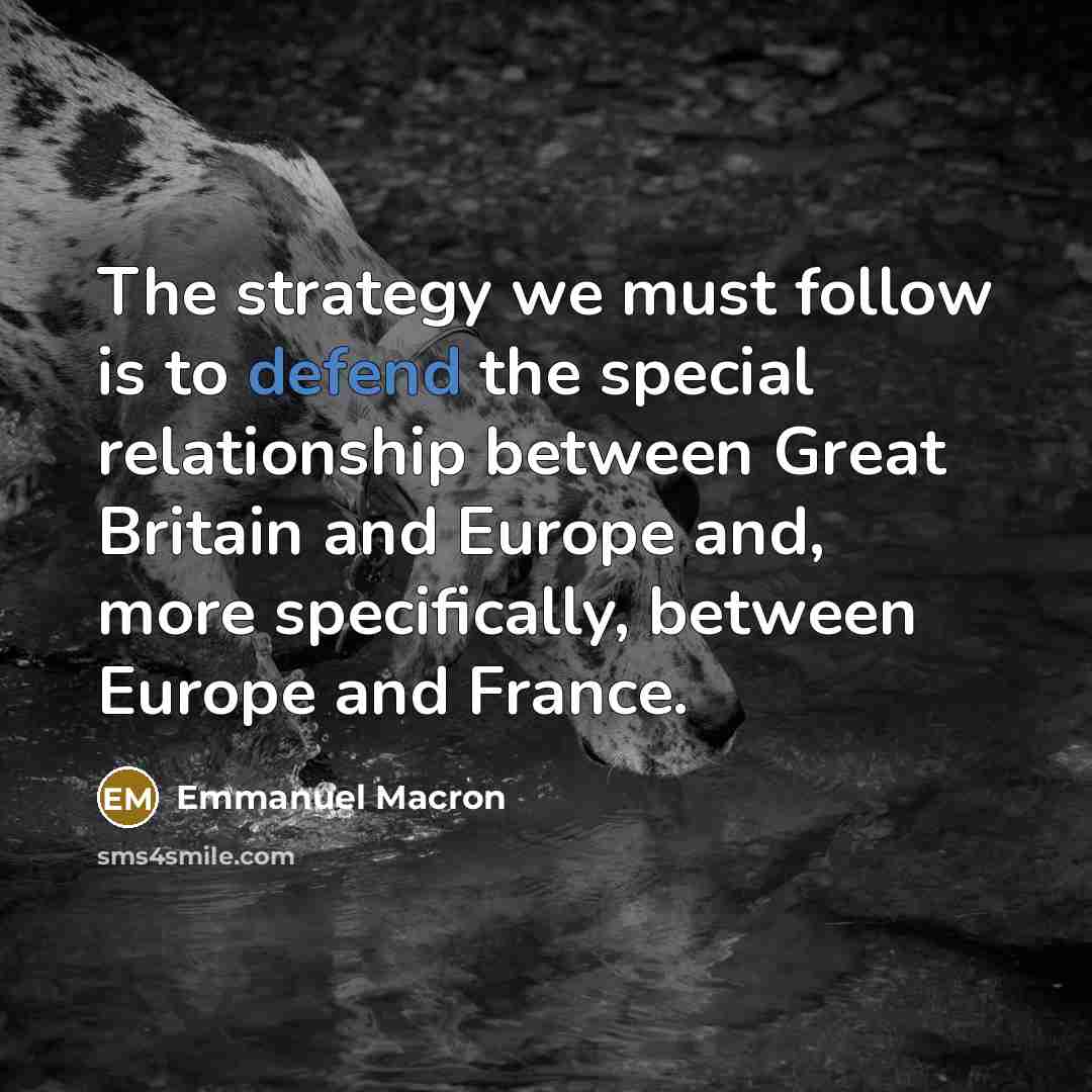 “The strategy we must follow is to defend the special…” quote by Emmanuel Macron
