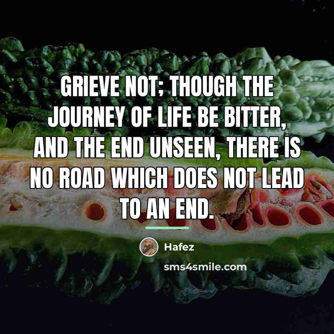 “Grieve not; though the journey of life be bitter, and…” quote by Hafez