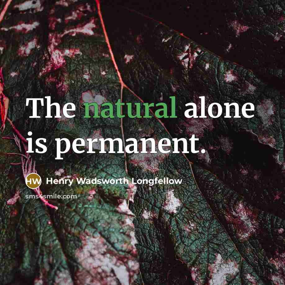 “The natural alone is permanent.…” quote by Henry Wadsworth Longfellow