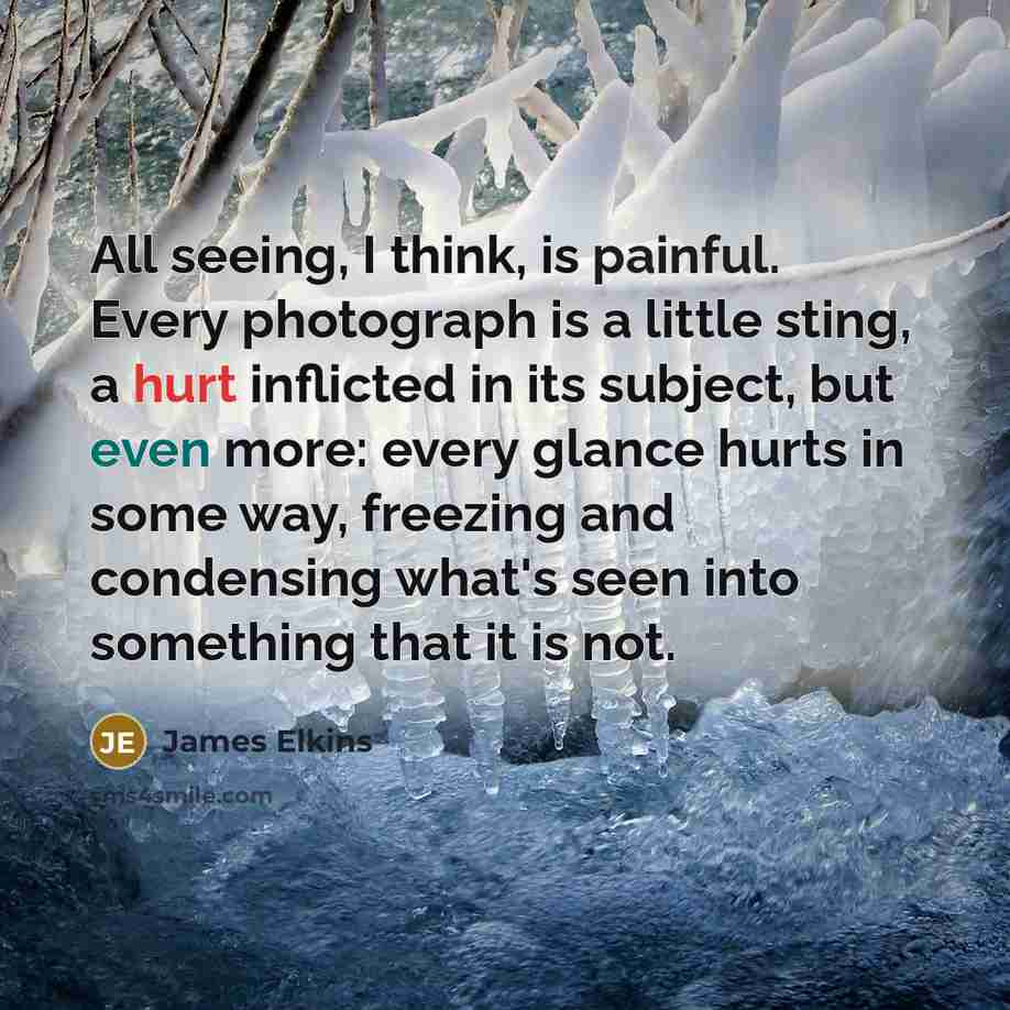 “All seeing, I think, is painful. Every photograph is a…” quote by James Elkins