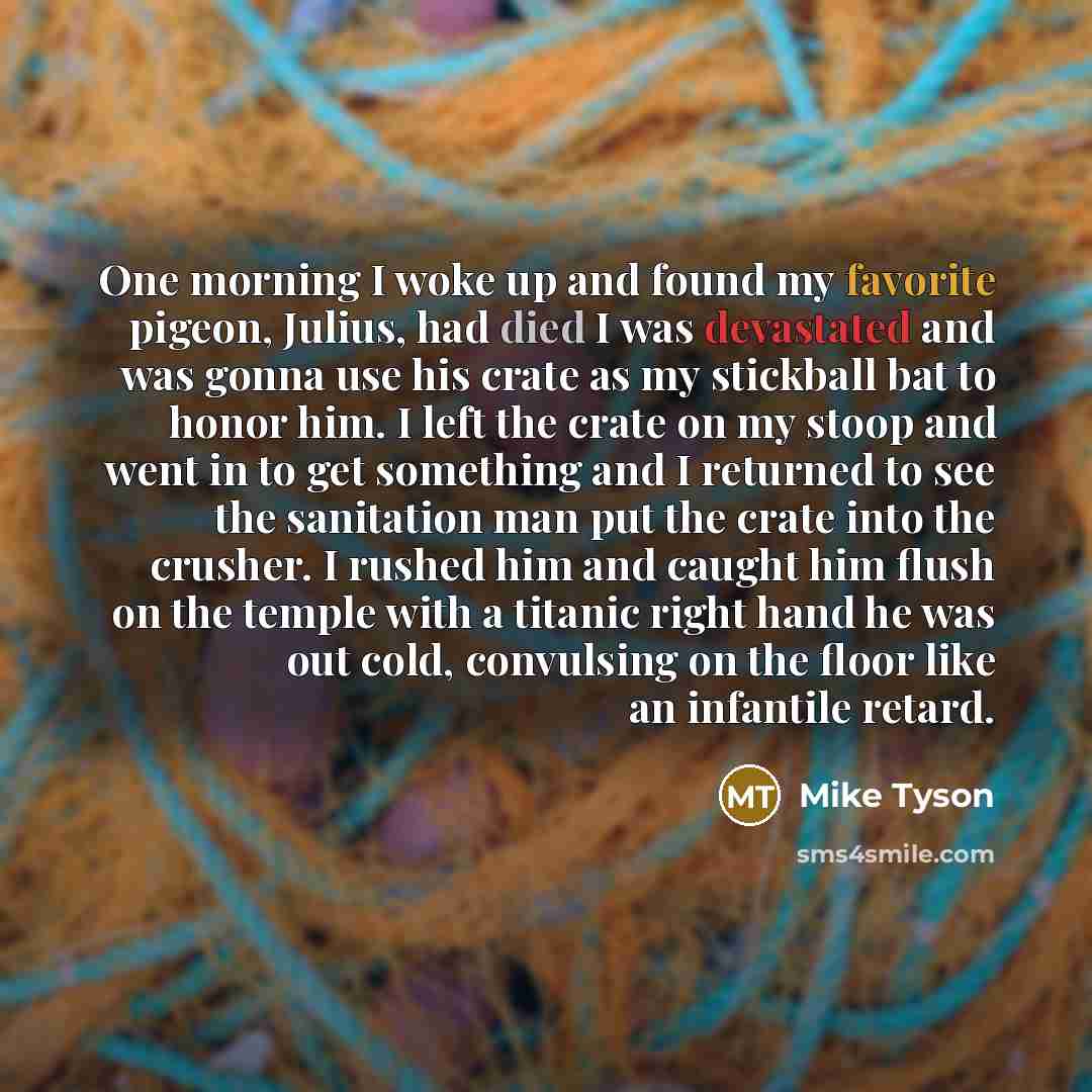 “One morning I woke up and found my favorite pigeon,…” quote by Mike Tyson