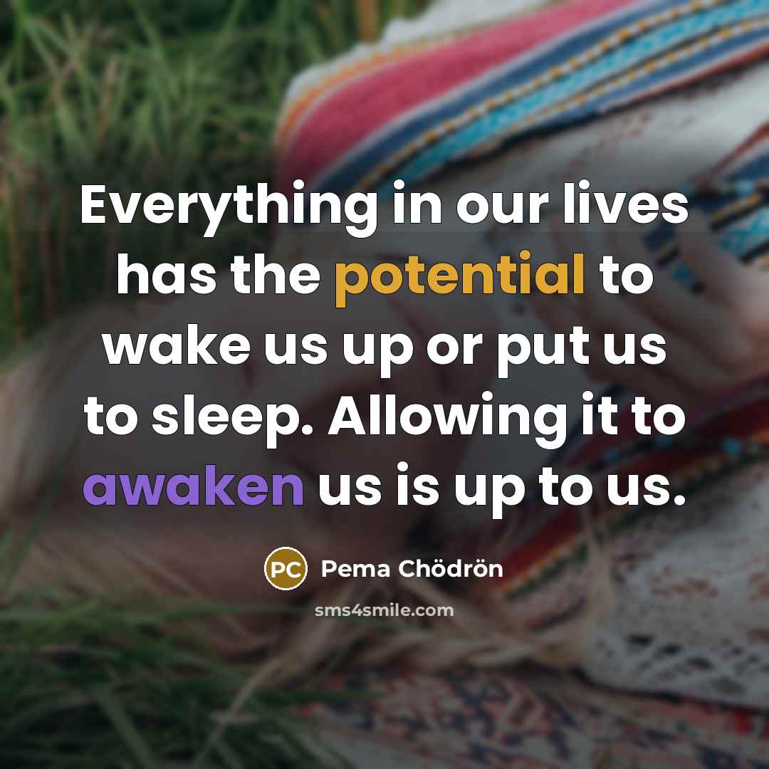 “Everything in our lives has the potential to wake us…” quote by Pema Chodron