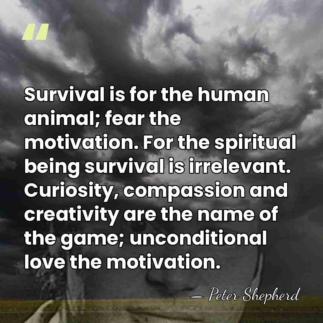 Survival is for the human animal; fear the motivation. For the spiritual&hellip; - Peter Shepherd
