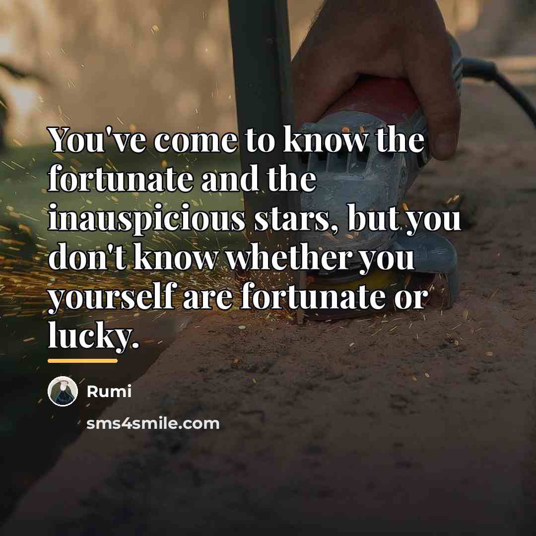 “You've come to know the fortunate and the inauspicious stars,…” quote by Rumi