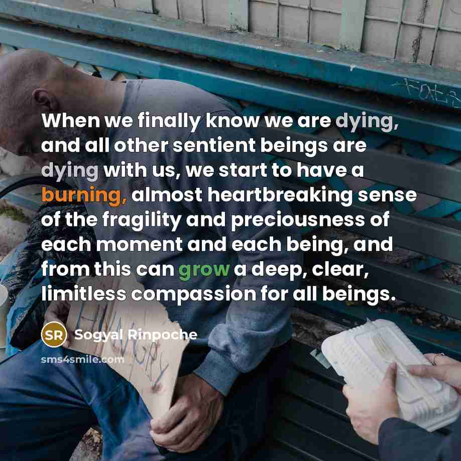 “When we finally know we are dying, and all other…” quote by Sogyal Rinpoche