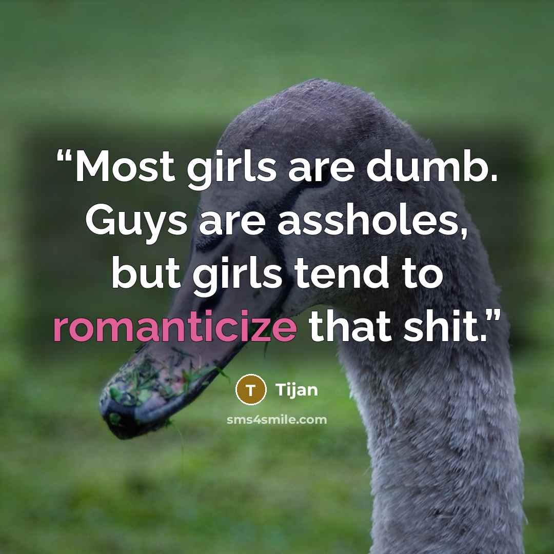 “Most girls are dumb. Guys are assholes, but girls tend to romanticize that shit.” quote by Tijan