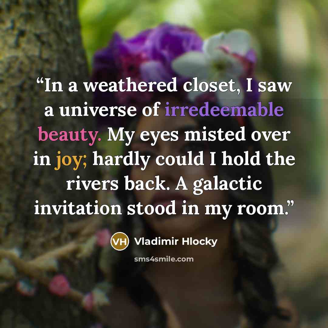 “In a weathered closet, I saw a universe of irredeemable beauty. My eyes misted over in joy; hardly could I hold the rivers back. A galactic invitation stood in my room.” quote by Vladimir Hlocky