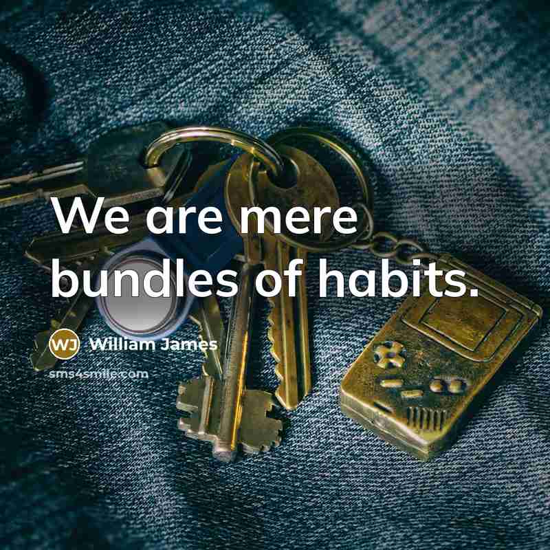 “We are mere bundles of habits.…” quote by William James