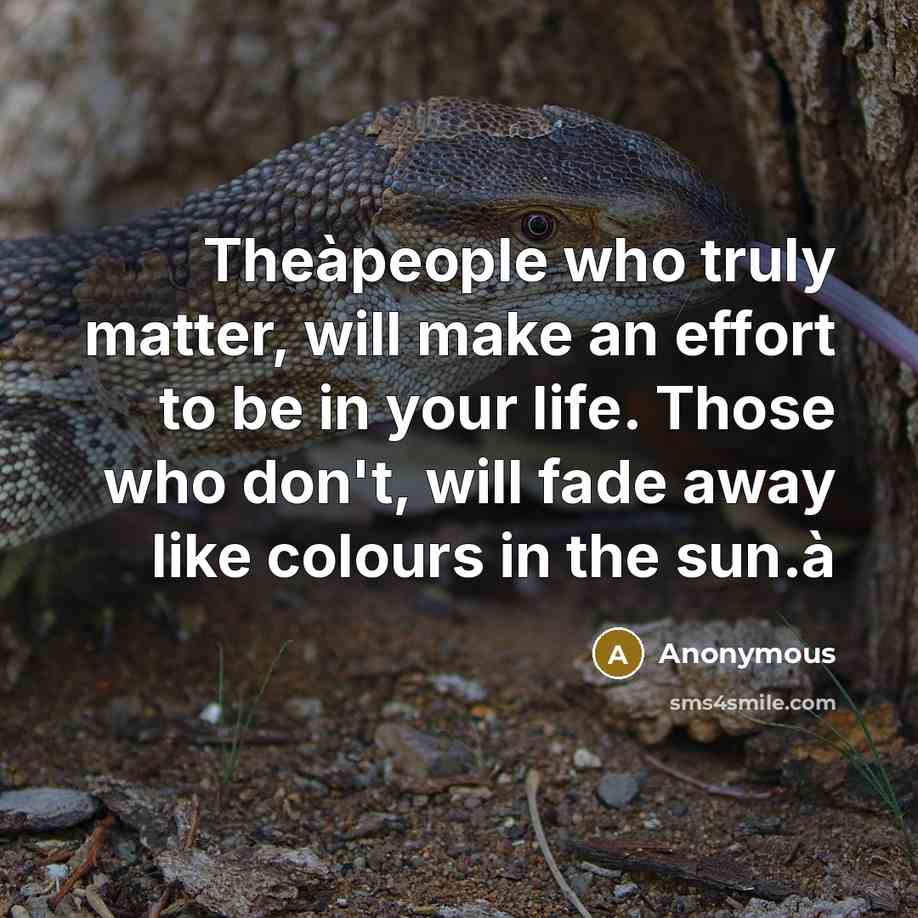 “Theàpeople who truly matter, will make an effort to be in your life. Those who don't, will fade away like colours in the sun.à” quote by Anonymous