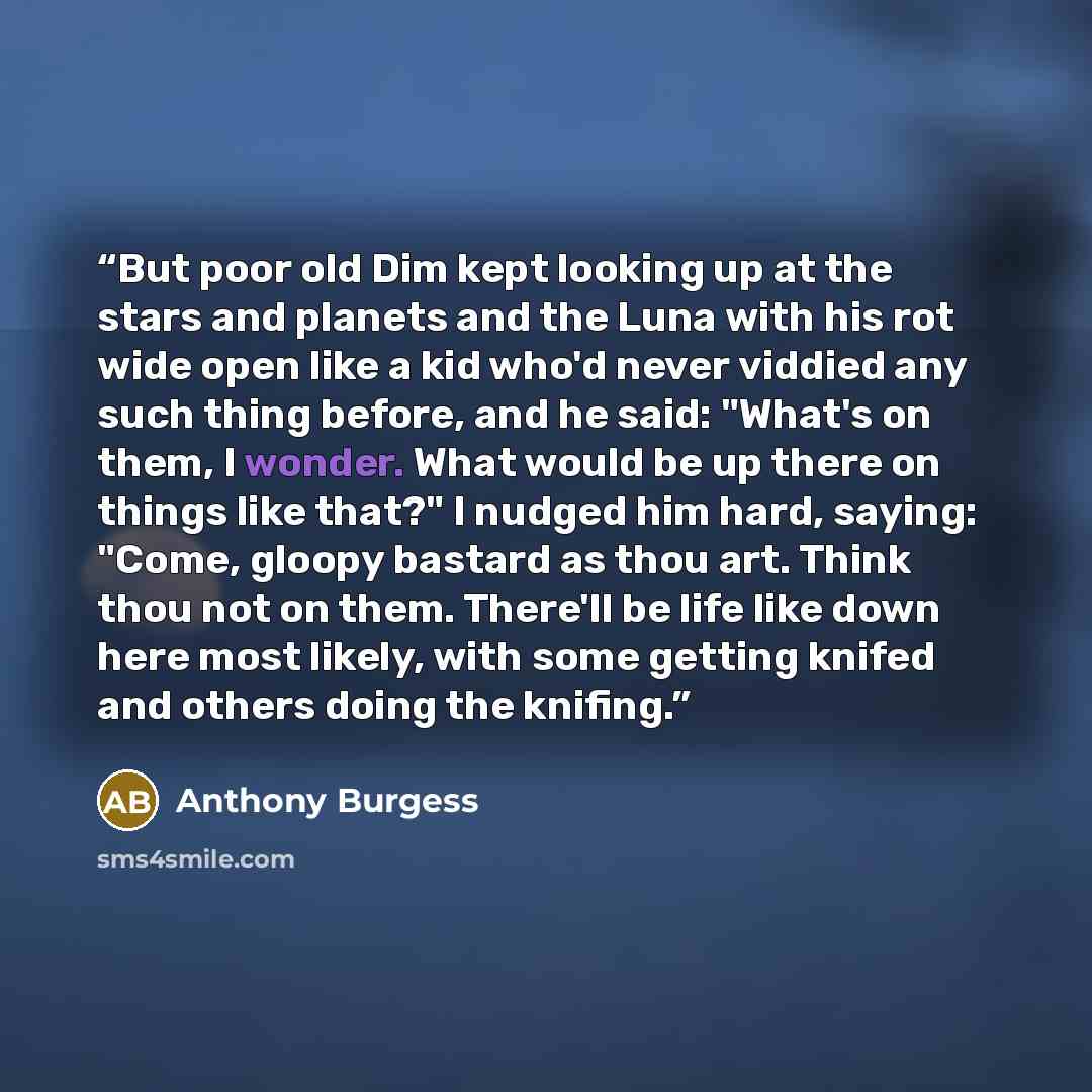 “But poor old Dim kept looking up at the stars and planets and the Luna with his rot wide open like a kid who'd never viddied any such thing before, and he said: "What's on them, I wonder. What would be up there on things like that?" I nudged him hard, saying: "Come, gloopy bastard as thou art…” quote by Anthony Burgess