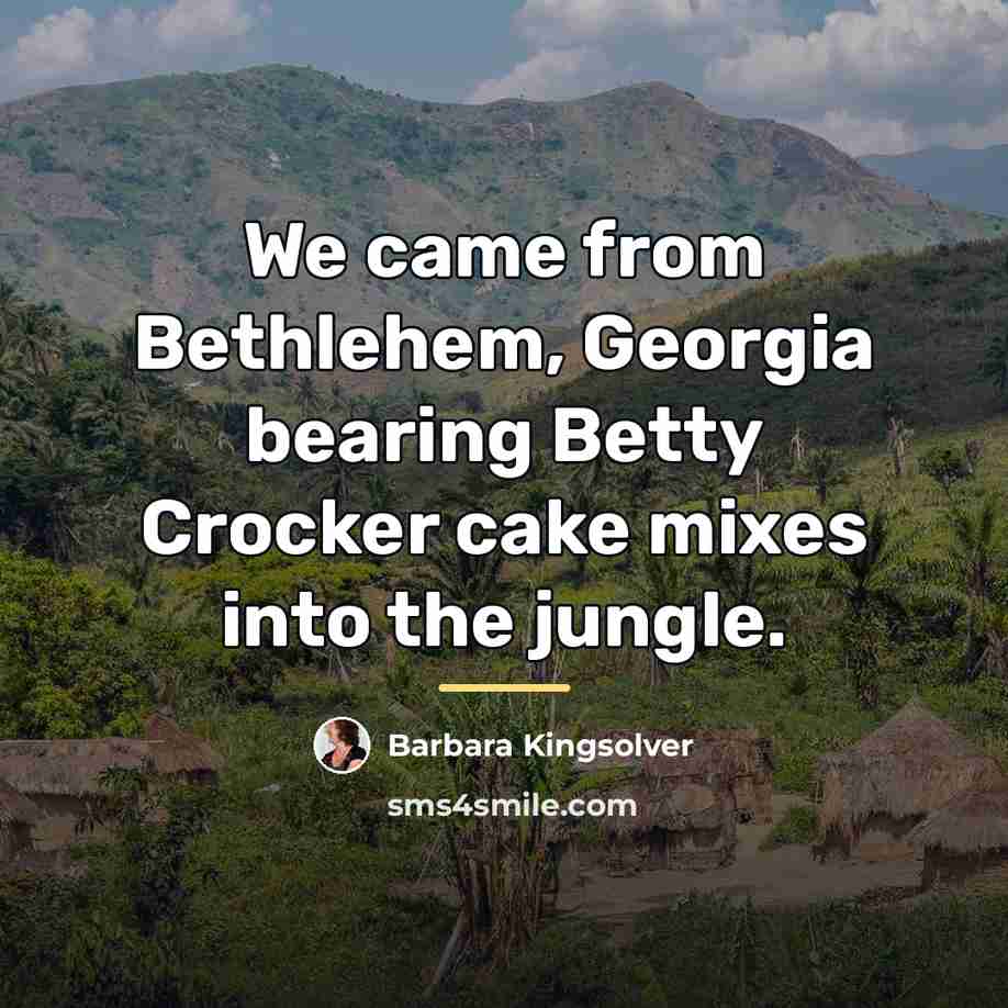 “We came from Bethlehem, Georgia bearing Betty Crocker cake mixes…” quote by Barbara Kingsolver
