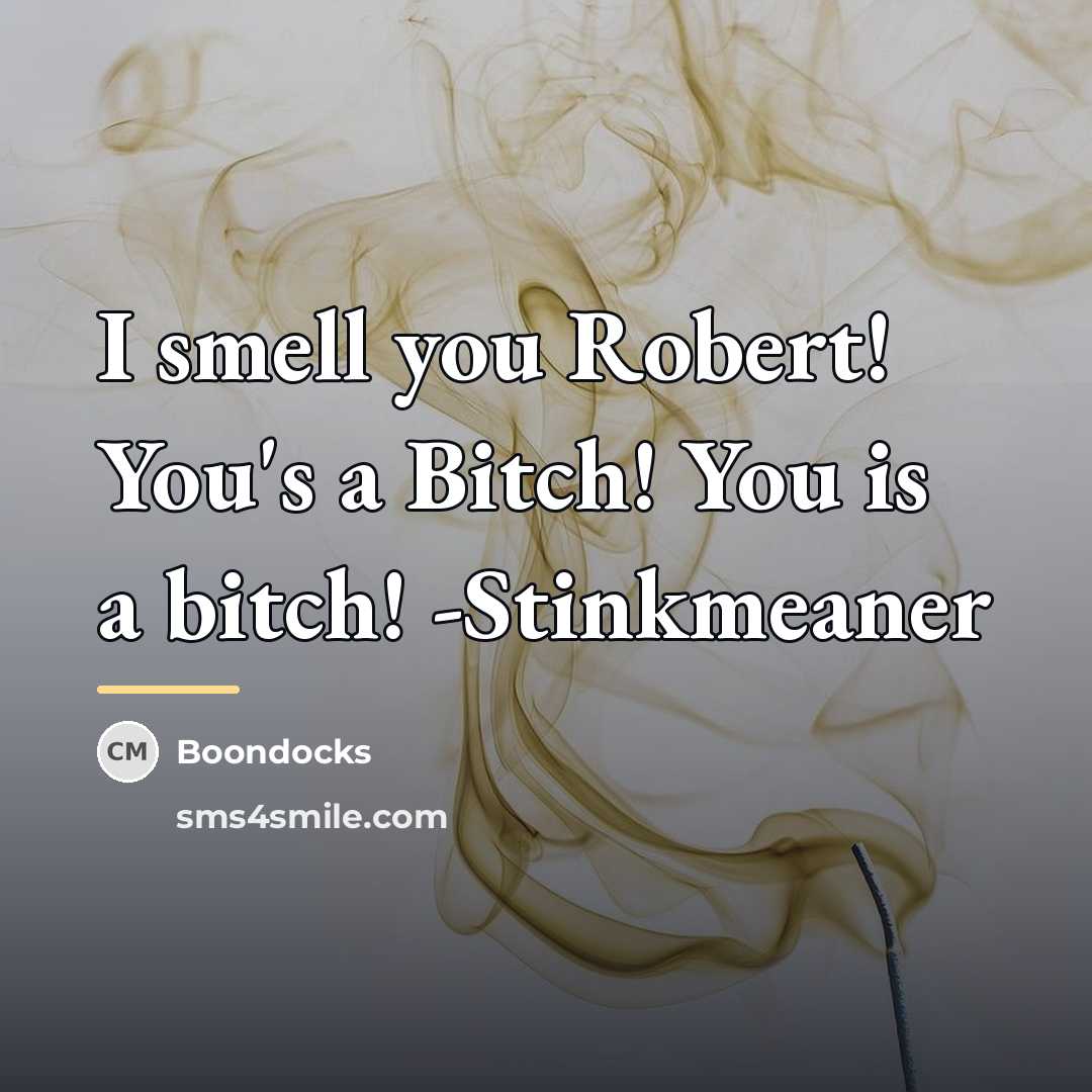 “I smell you Robert! You's a Bitch! You is a…” quote by Boondocks