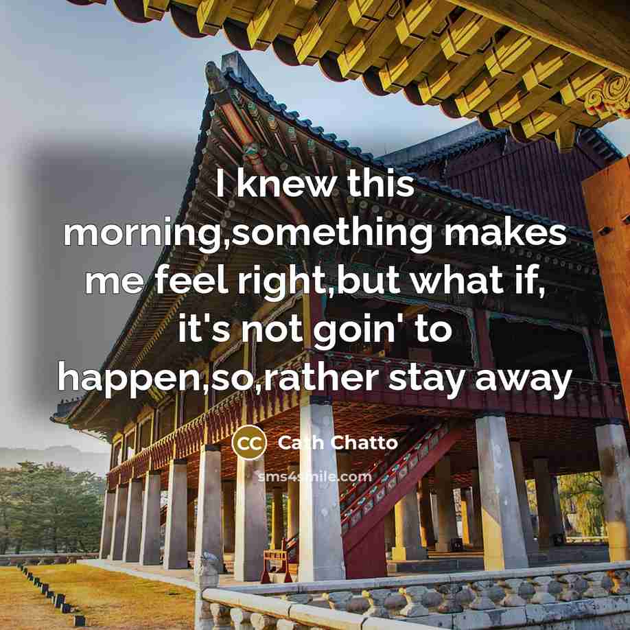 “I knew this morning,something makes me feel right,but what if,…” quote by Cath Chatto