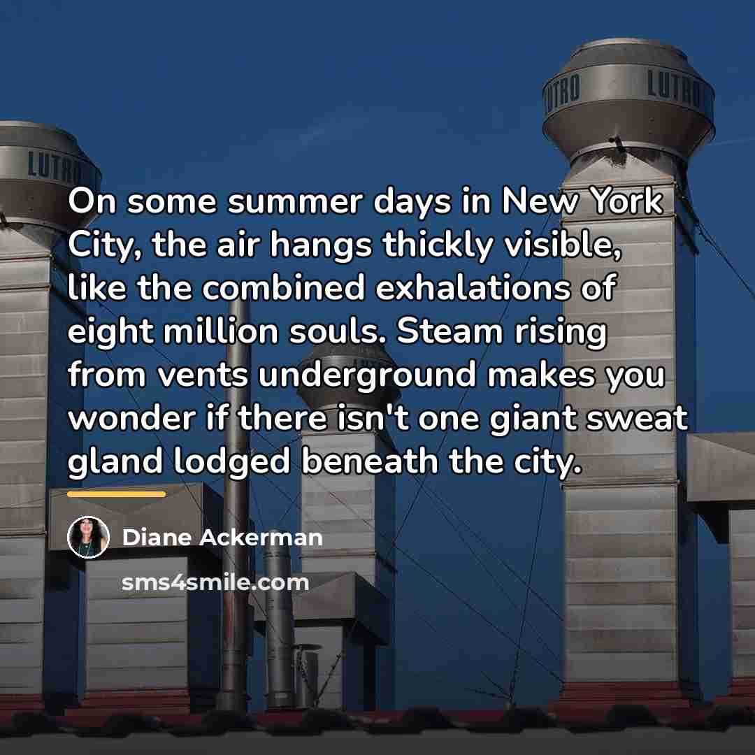 “On some summer days in New York City, the air…” quote by Diane Ackerman