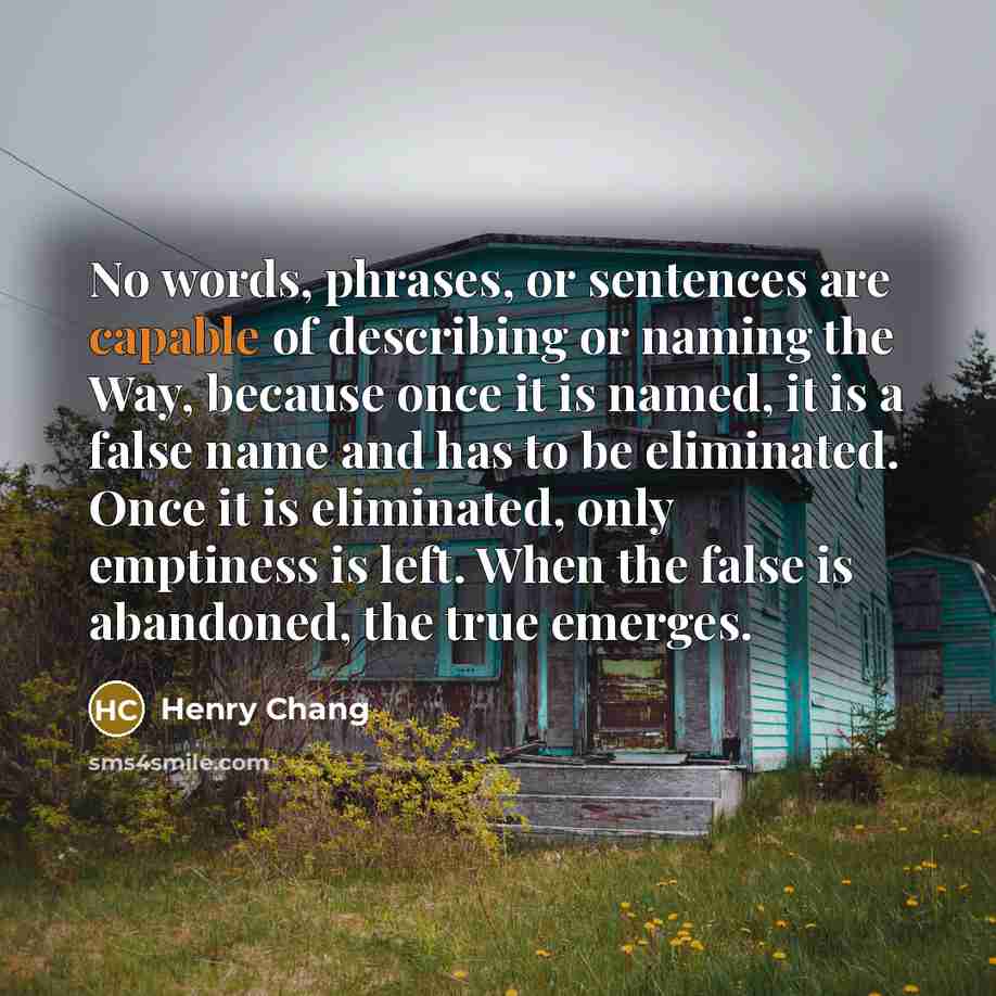 “No words, phrases, or sentences are capable of describing or…” quote by Henry Chang