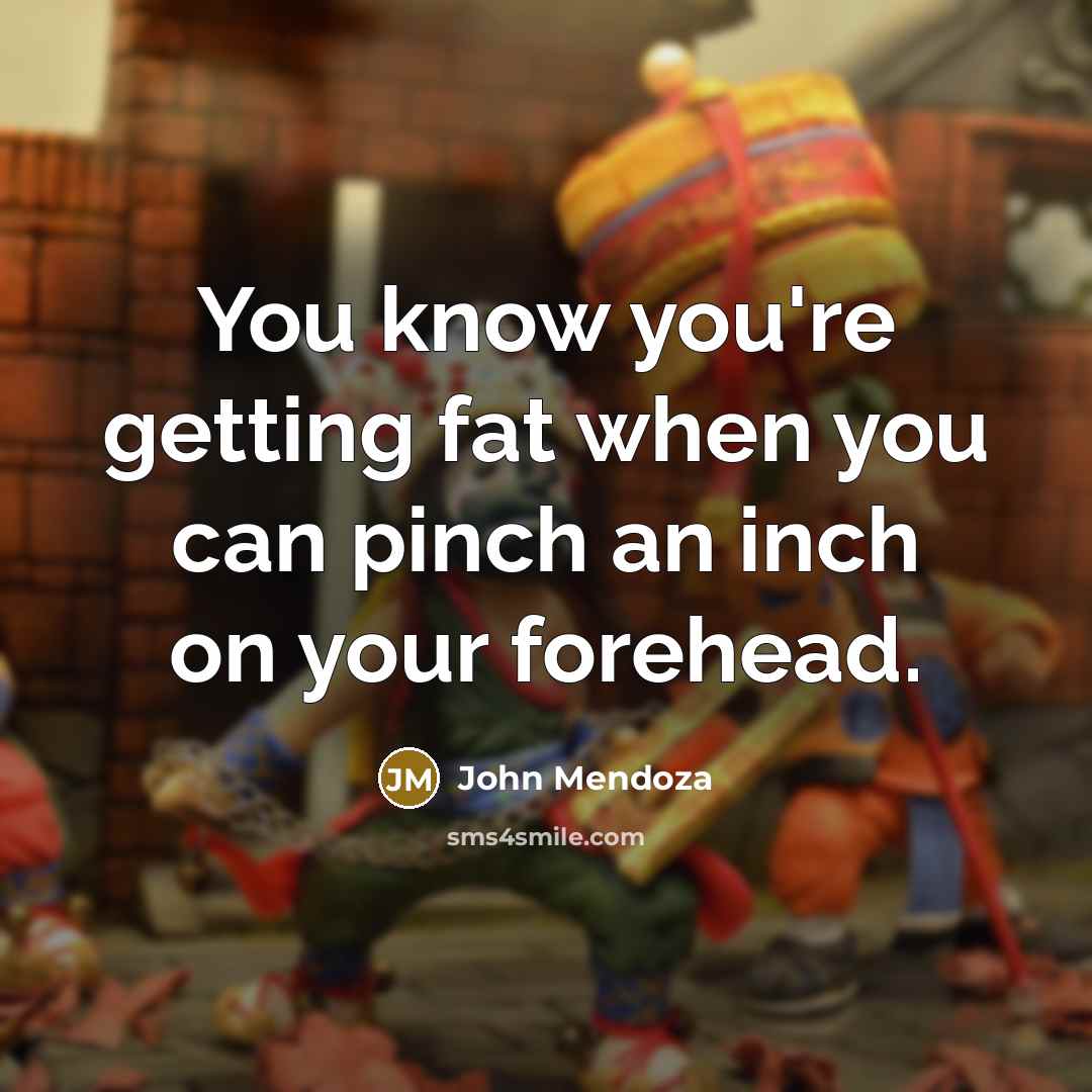 “You know you're getting fat when you can pinch an…” quote by John Mendoza
