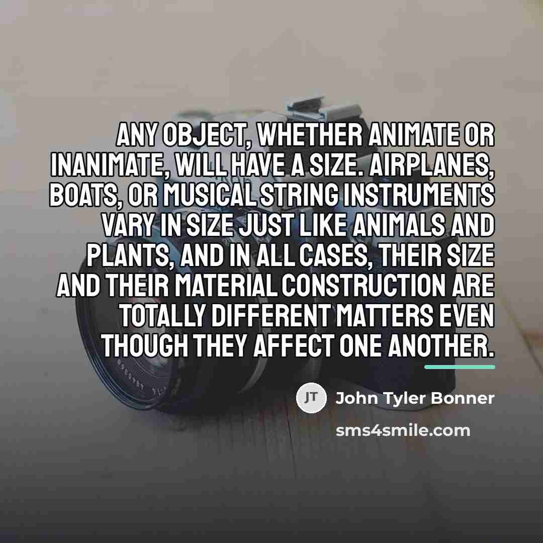 “Any object, whether animate or inanimate, will have a size.…” quote by John Tyler Bonner