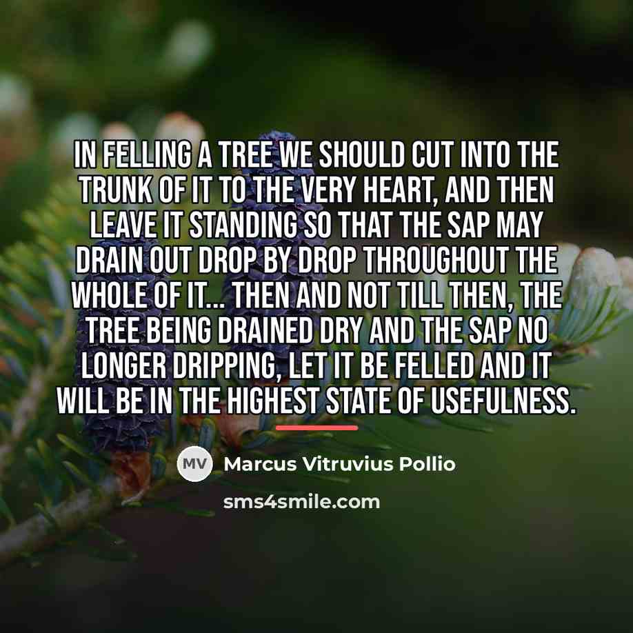 “In felling a tree we should cut into the trunk…” quote by Marcus Vitruvius Pollio