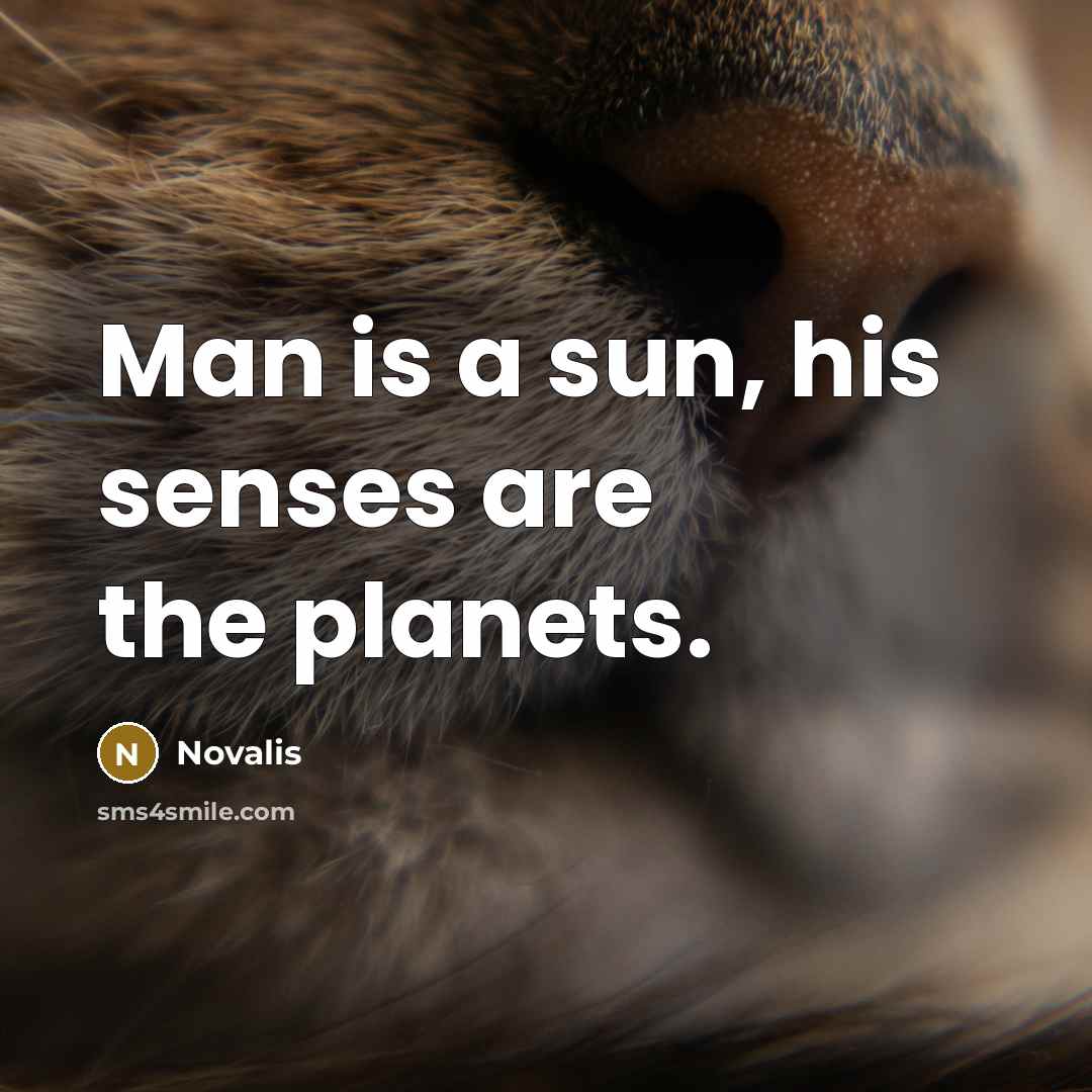 “Man is a sun, his senses are the planets.…” quote by Novalis