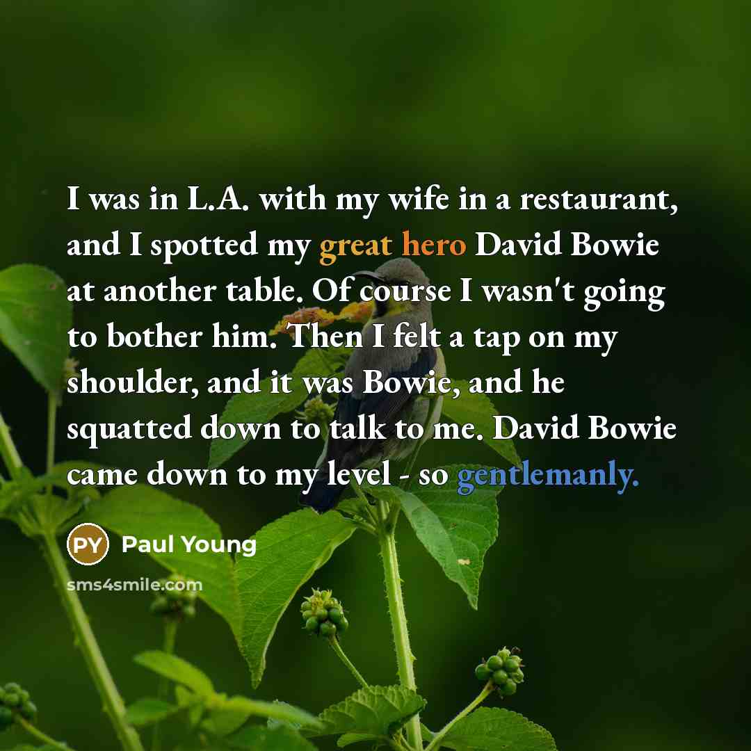 “I was in L.A. with my wife in a restaurant, and I spotted my great hero David Bowie at another table. Of course I wasn't going to bother him. Then I felt a tap on my shoulder, and it was Bowie, and he squatted down to talk to me. David Bowie came down to my level - so gentlemanly.” quote by Paul Young