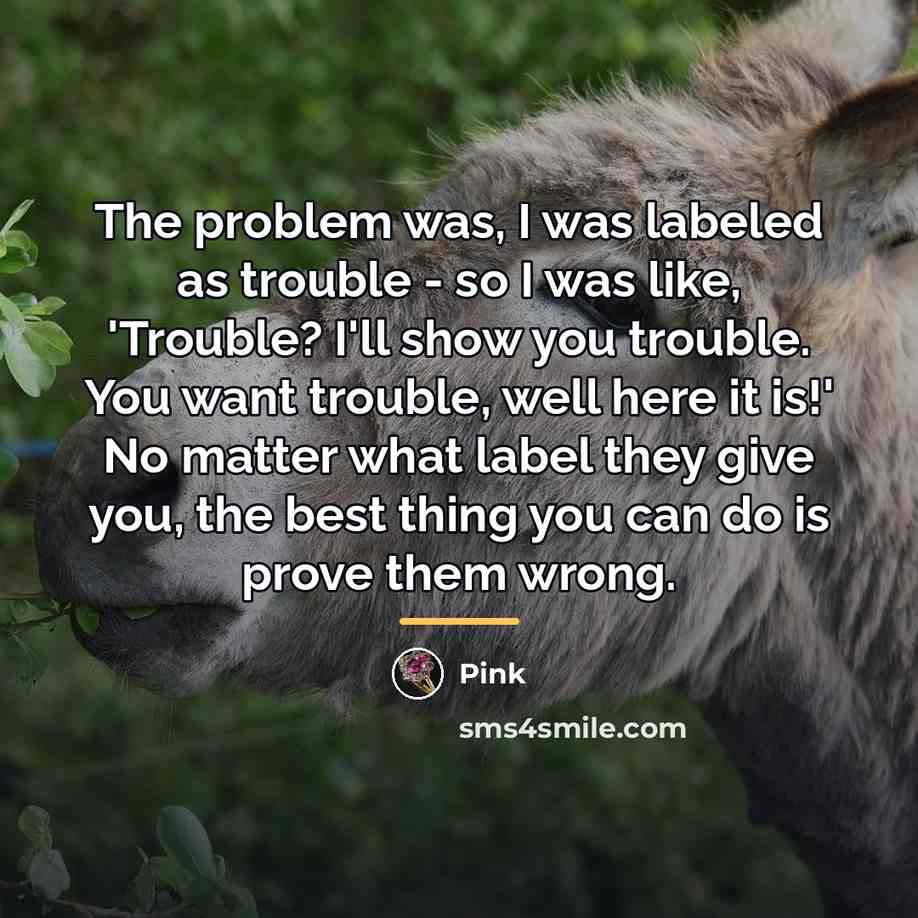 “The problem was, I was labeled as trouble - so…” quote by Pink