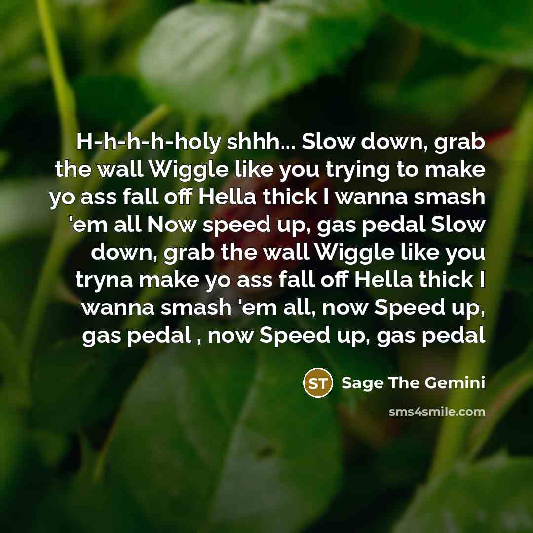 “H-h-h-h-holy shhh... Slow down, grab the wall Wiggle like you trying to make yo ass fall off Hella thick I wanna smash 'em all Now speed up, gas pedal Slow down, grab the wall Wiggle like you tryna make yo ass fall off Hella thick I wanna smash 'em all, now Speed up, gas pedal , now Speed up, gas…” quote by Sage The Gemini