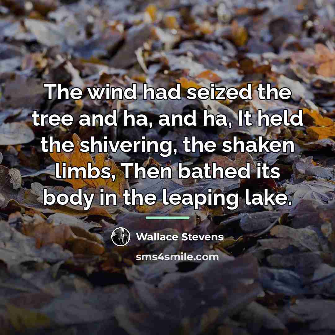 “The wind had seized the tree and ha, and ha,…” quote by Wallace Stevens