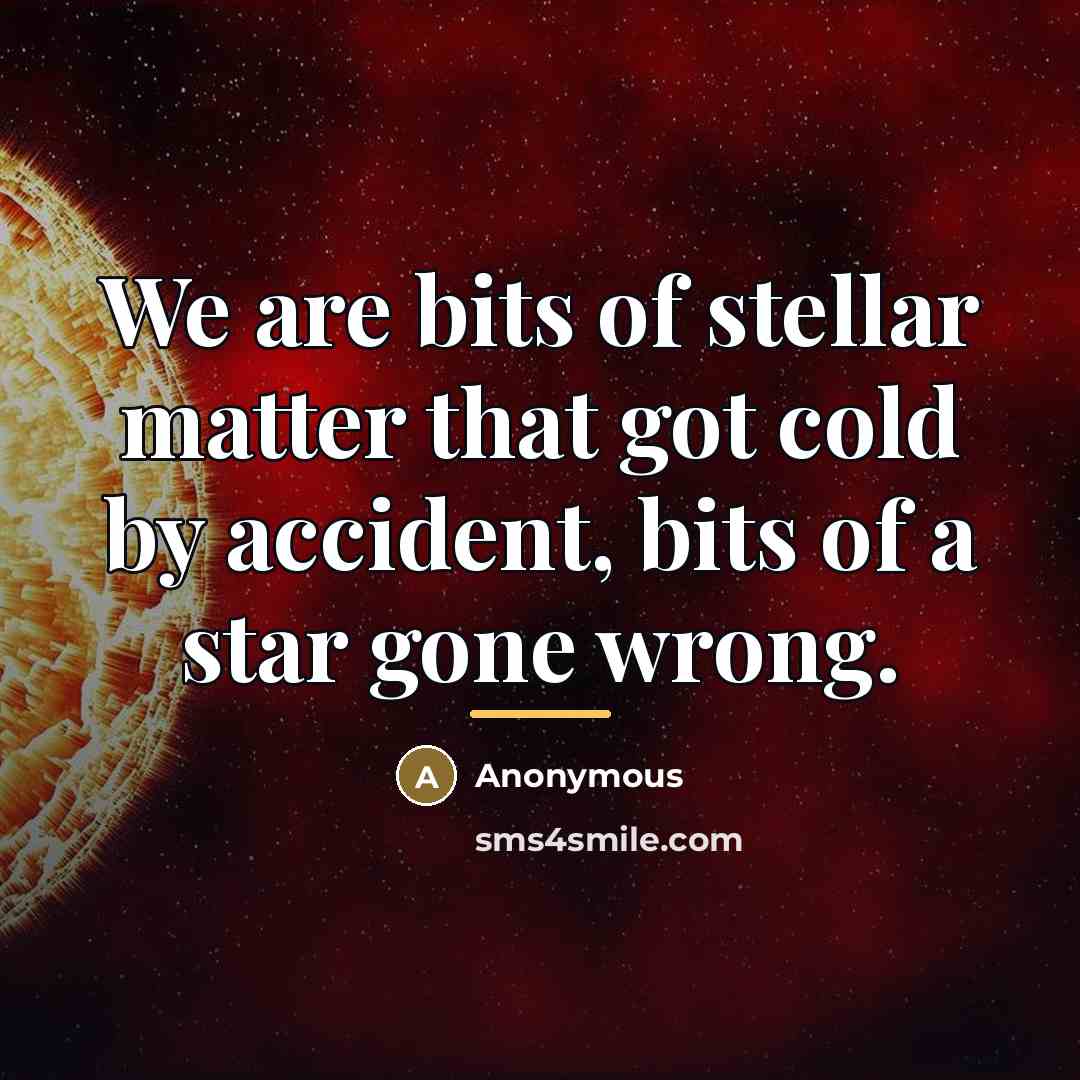 “We are bits of stellar matter that got cold by…” quote by Anonymous