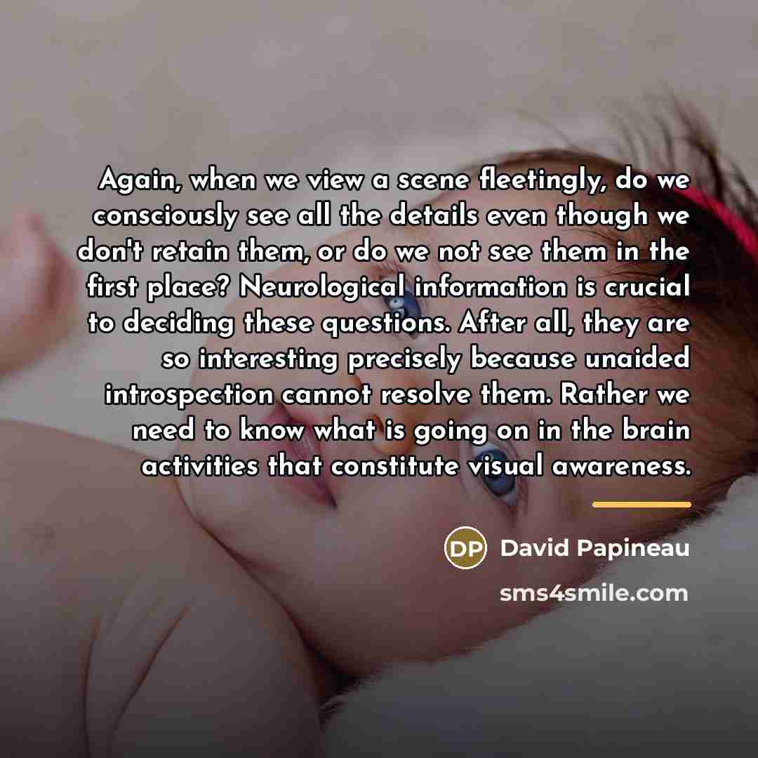 “Again, when we view a scene fleetingly, do we consciously…” quote by David Papineau