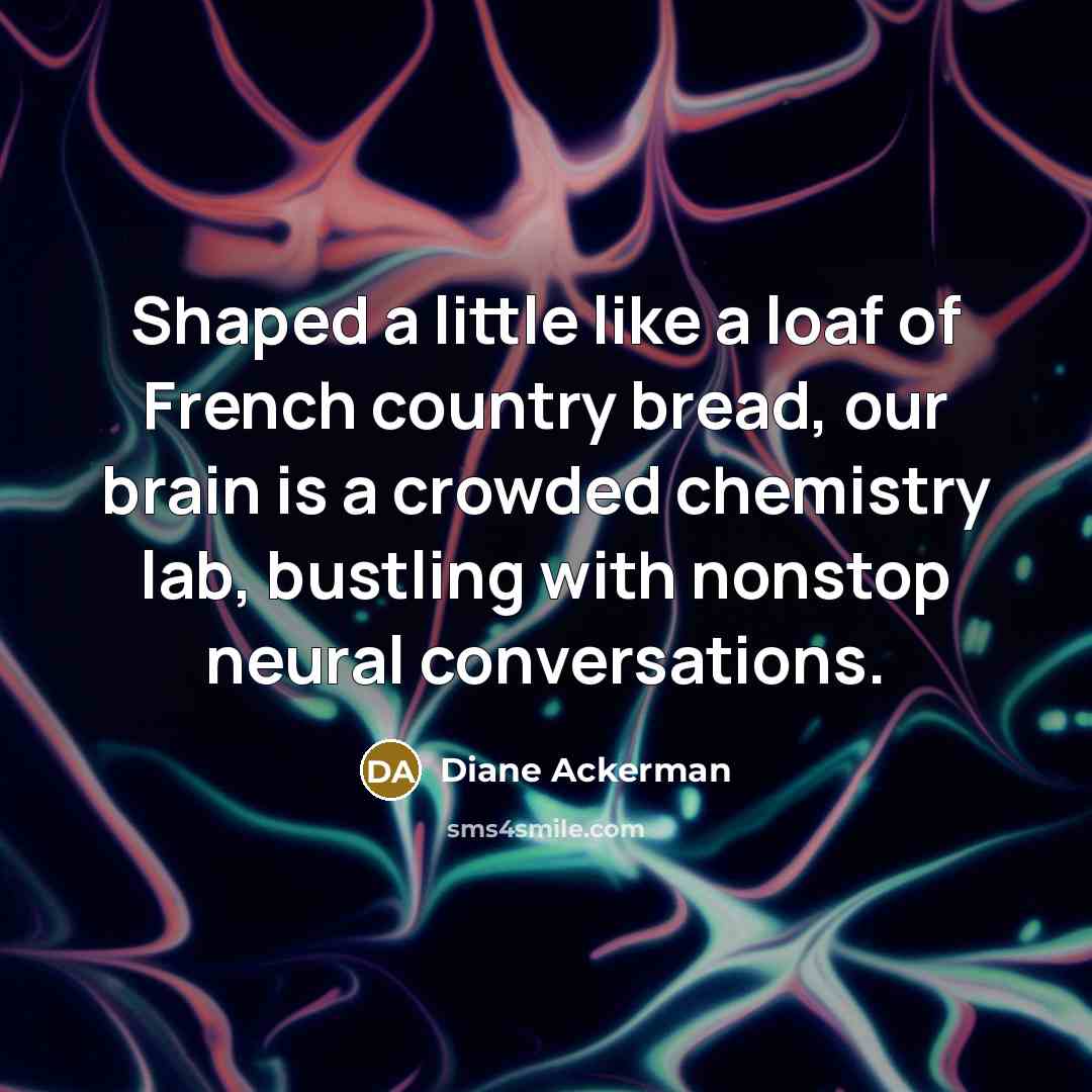 “Shaped a little like a loaf of French country bread,…” quote by Diane Ackerman