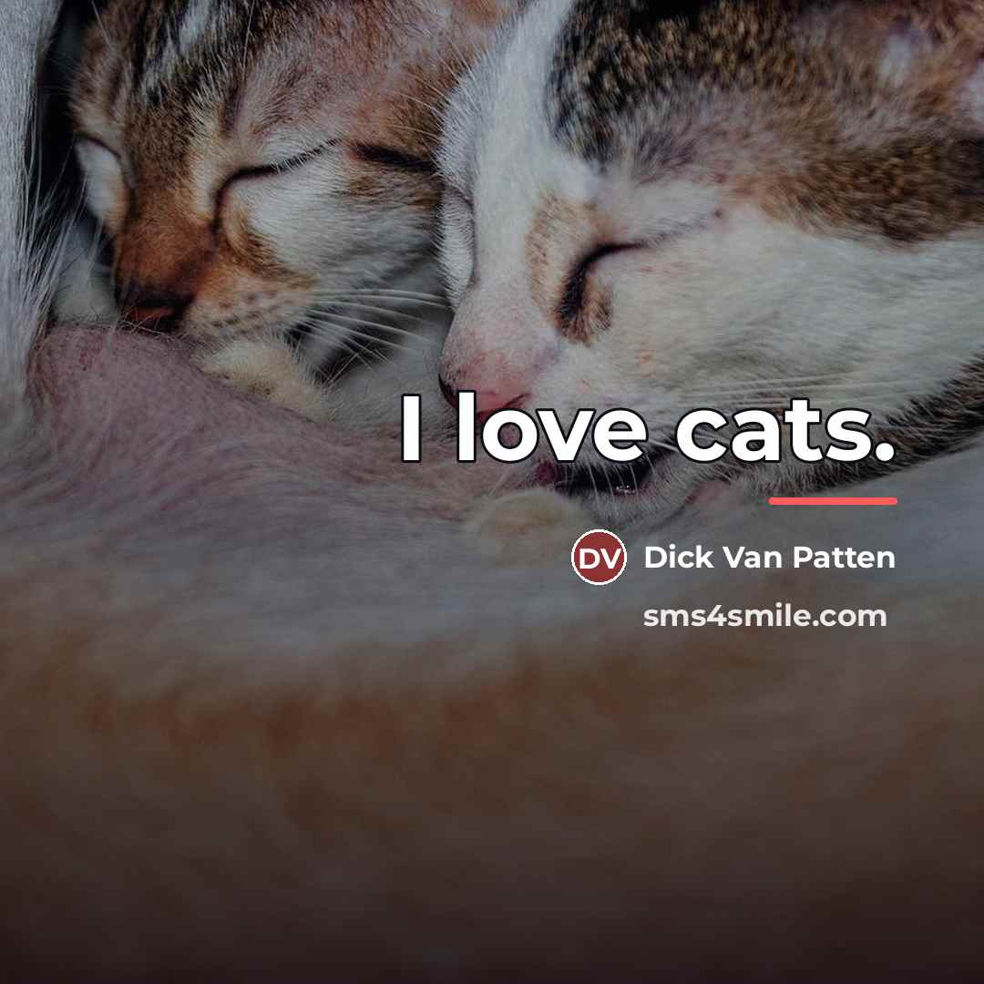 “I love cats.…” quote by Dick Van Patten