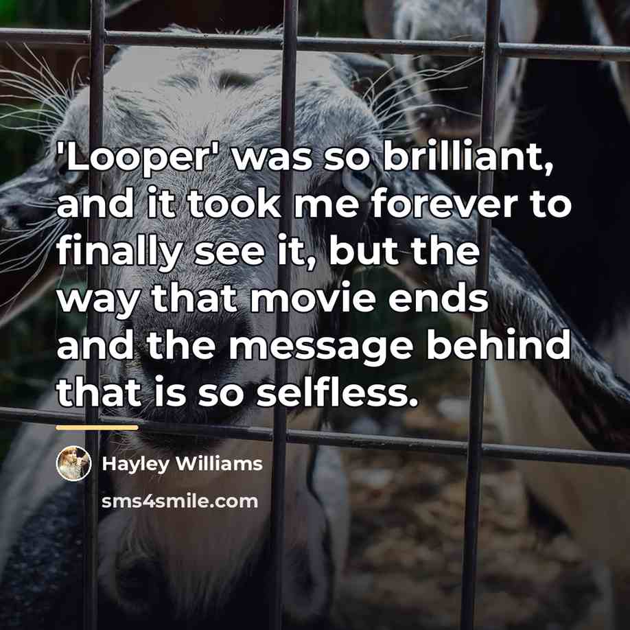“'Looper' was so brilliant, and it took me forever to…” quote by Hayley Williams