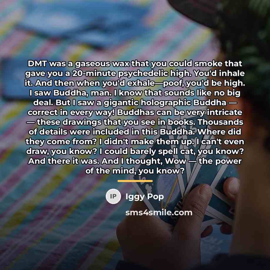 “DMT was a gaseous wax that you could smoke that…” quote by Iggy Pop
