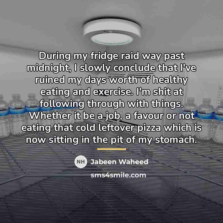 “During my fridge raid way past midnight, I slowly conclude…” quote by Jabeen Waheed