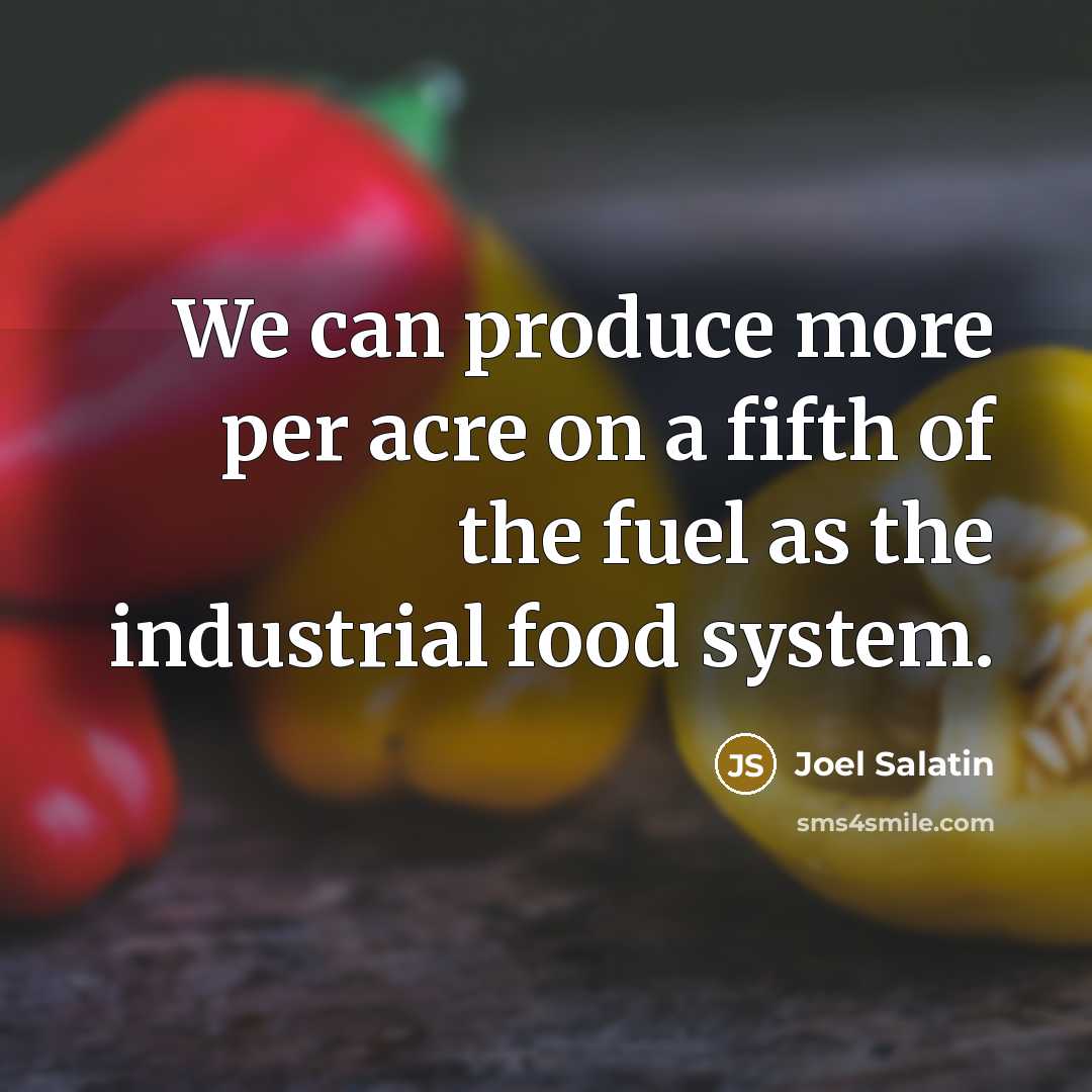 “We can produce more per acre on a fifth of…” quote by Joel Salatin