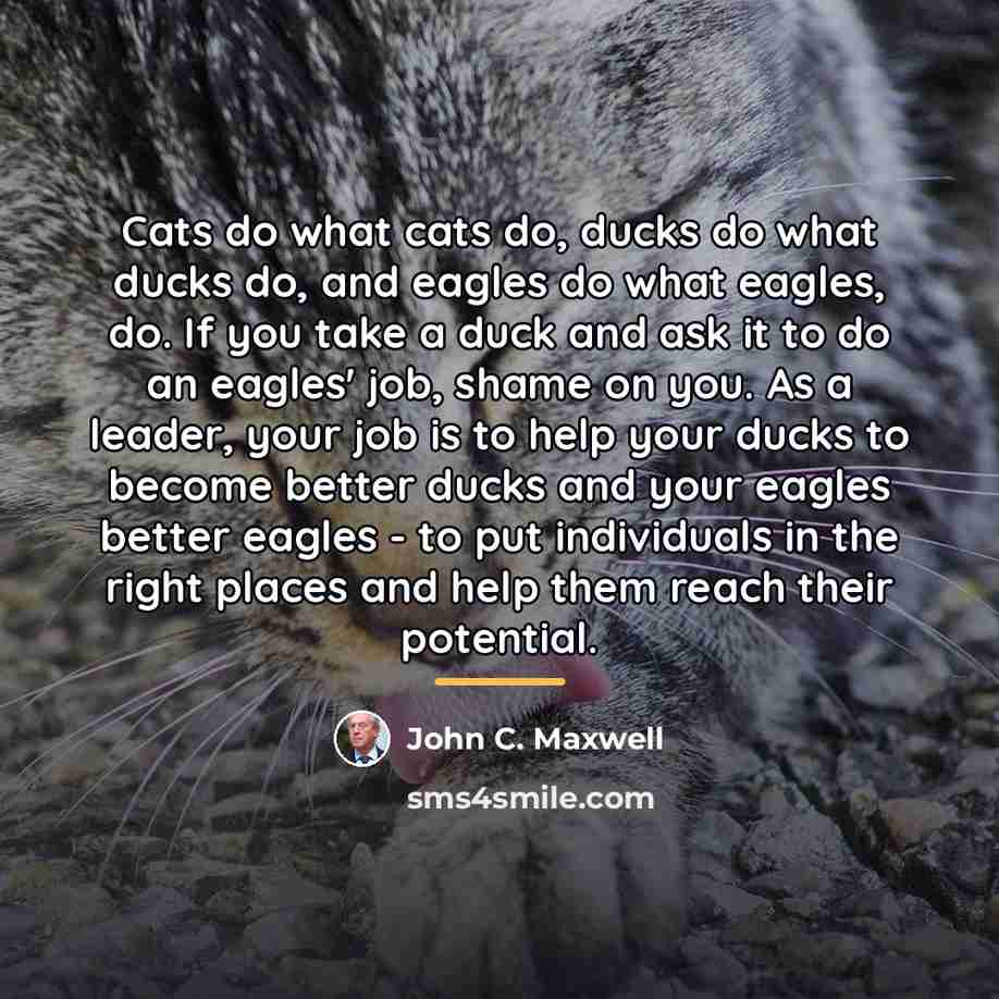 “Cats do what cats do, ducks do what ducks do,…” quote by John C. Maxwell