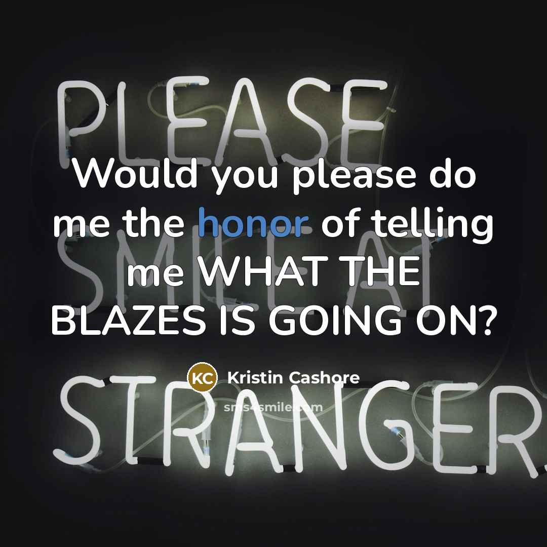 “Would you please do me the honor of telling me WHAT THE BLAZES IS GOING ON?” quote by Kristin Cashore