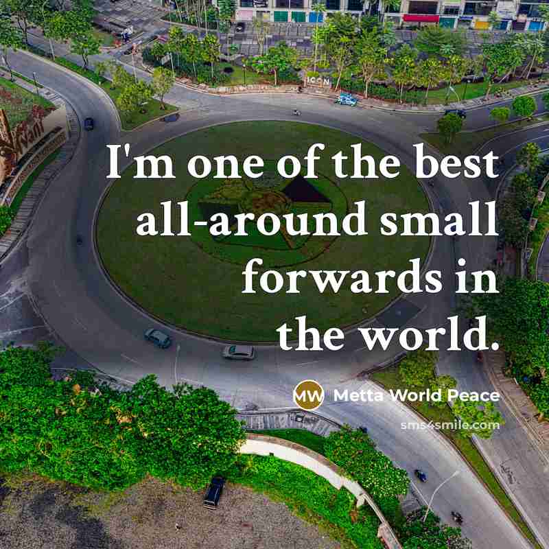 “I'm one of the best all-around small forwards in the…” quote by Metta World Peace