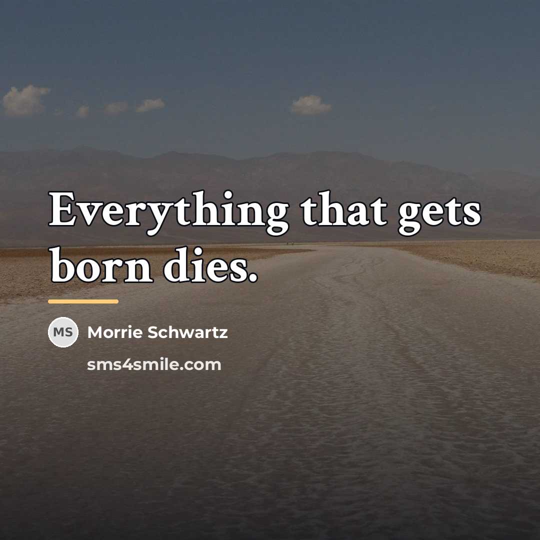 “Everything that gets born dies.…” quote by Morrie Schwartz
