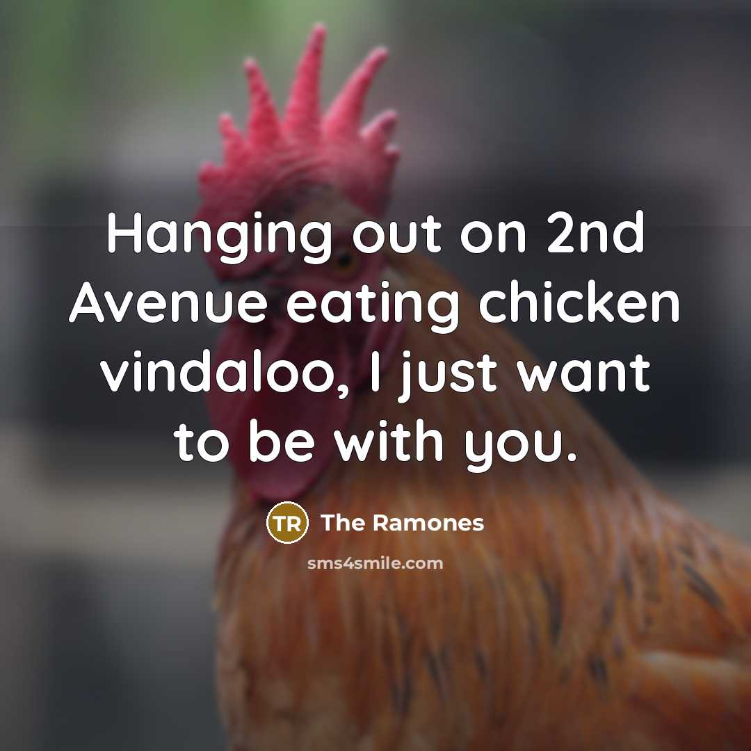 “Hanging out on 2nd Avenue eating chicken vindaloo, I just want to be with you.” quote by The Ramones