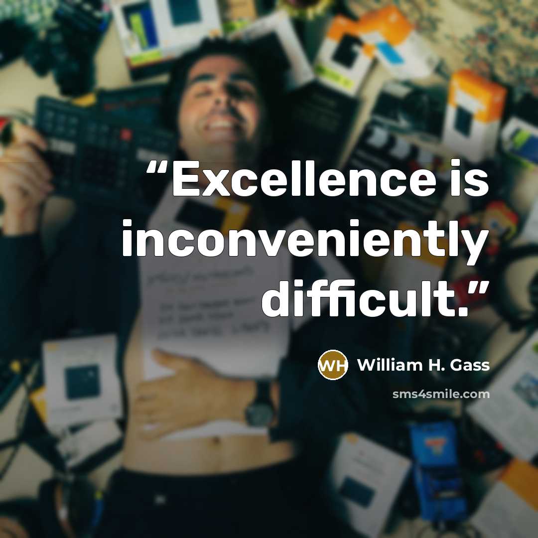 “Excellence is inconveniently difficult.” quote by William H. Gass
