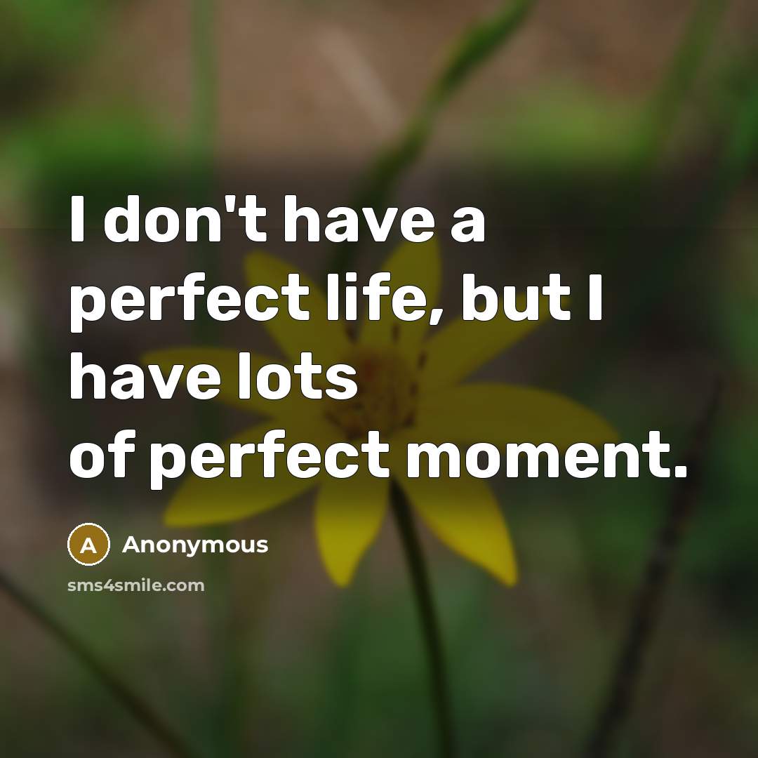 “I don't have a perfect life, but I have lots…” quote by Anonymous