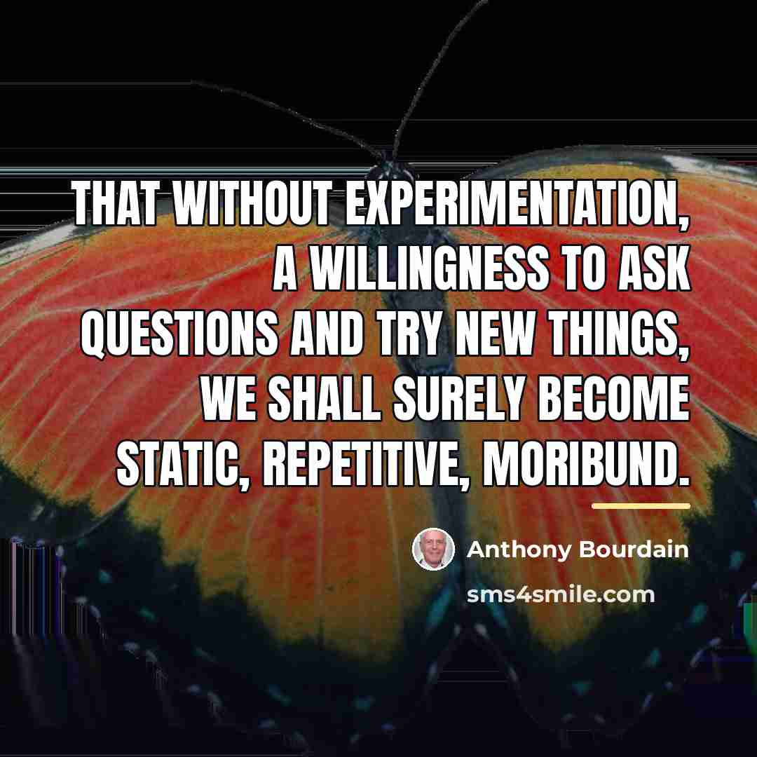 “That without experimentation, a willingness to ask questions and try…” quote by Anthony Bourdain