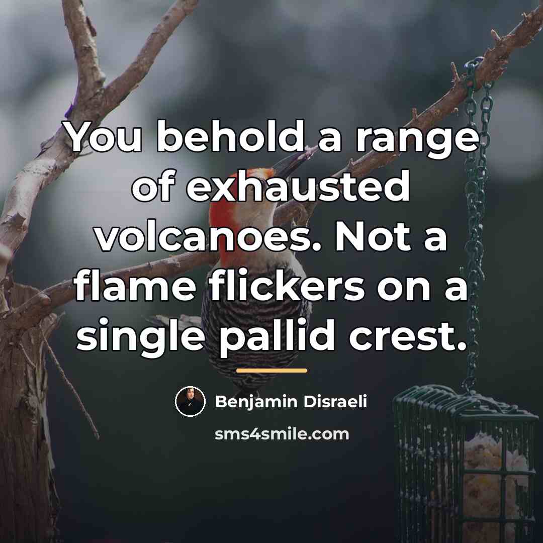 “You behold a range of exhausted volcanoes. Not a flame…” quote by Benjamin Disraeli