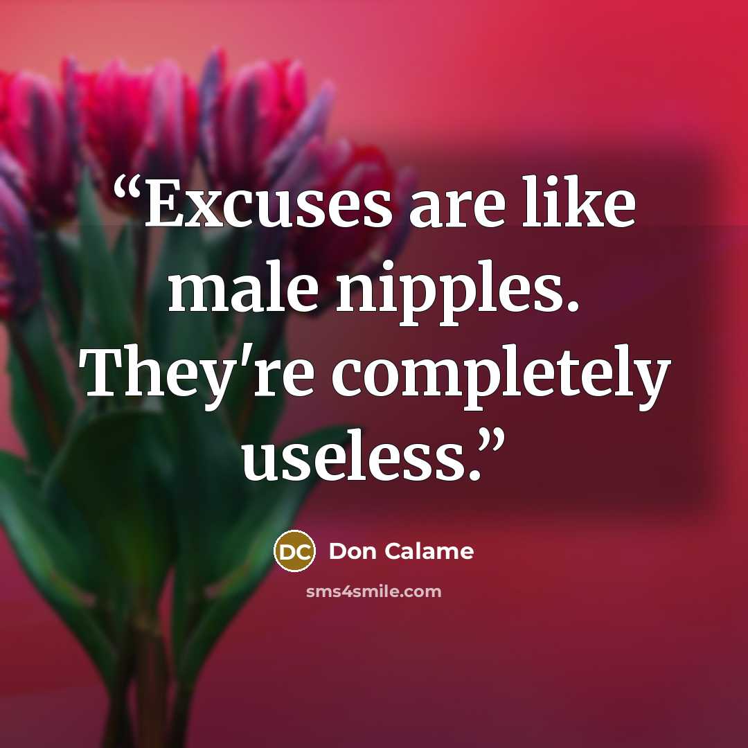 “Excuses are like male nipples. They're completely useless.” quote by Don Calame