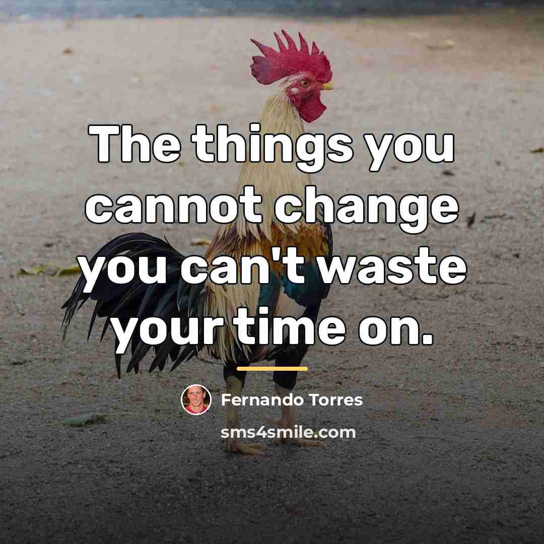 “The things you cannot change you can't waste your time…” quote by Fernando Torres