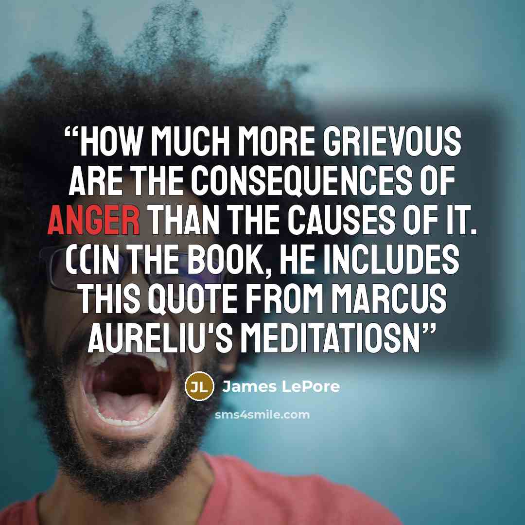 “How much more grievous are the consequences of anger than the causes of it. ((in the book, he includes this quote from Marcus Aureliu's Meditatiosn” quote by James LePore