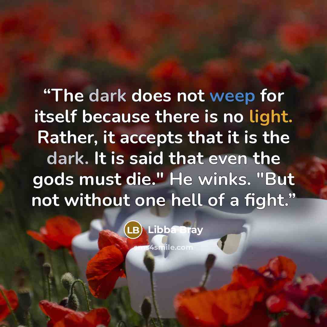 “The dark does not weep for itself because there is no light. Rather, it accepts that it is the dark. It is said that even the gods must die." He winks. "But not without one hell of a fight.” quote by Libba Bray