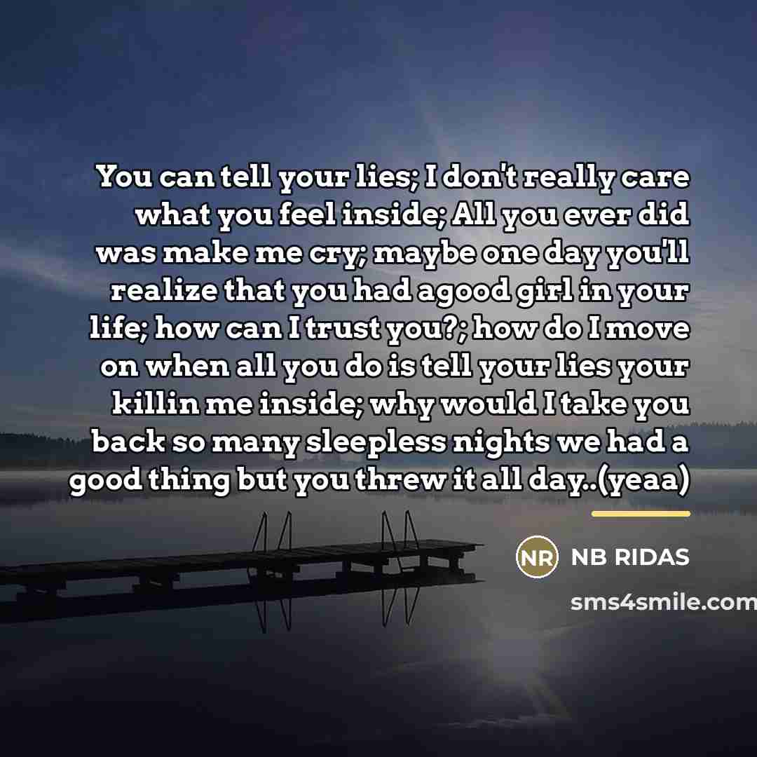 “You can tell your lies; I don't really care what…” quote by Nb Ridas